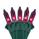 Premium 50 Purple Mini Christmas Lights, 6