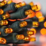 20 Multicolor Battery Operated 5mm LED Christmas Lights, Green Wire