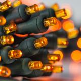 20 Multicolor Battery Operated 5mm LED Christmas Lights, Green Wire