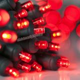 20 Red Battery Operated 5mm LED Christmas Lights, Green Wire Item No.: 20RDGN5B