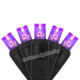 70 5mm Purple LED Christmas Lights, 4