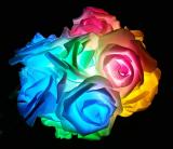 20LED 2M 6.56FT String Lights Bright Multicolor Rose Flower Lamp Fairy Light Battery Operated for Wedding Gardens Party Item Code:20RFMUBA