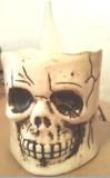 D3.5”X5.5”skull  LED candle Lights ,3xAAA Battery Operated(not included),warm white